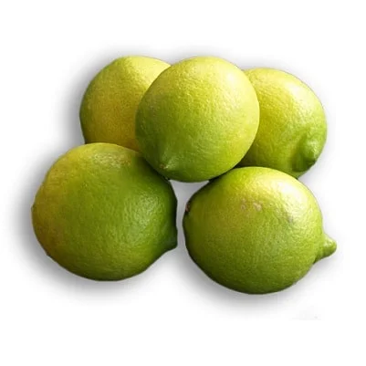 aristos-olivenoel542895