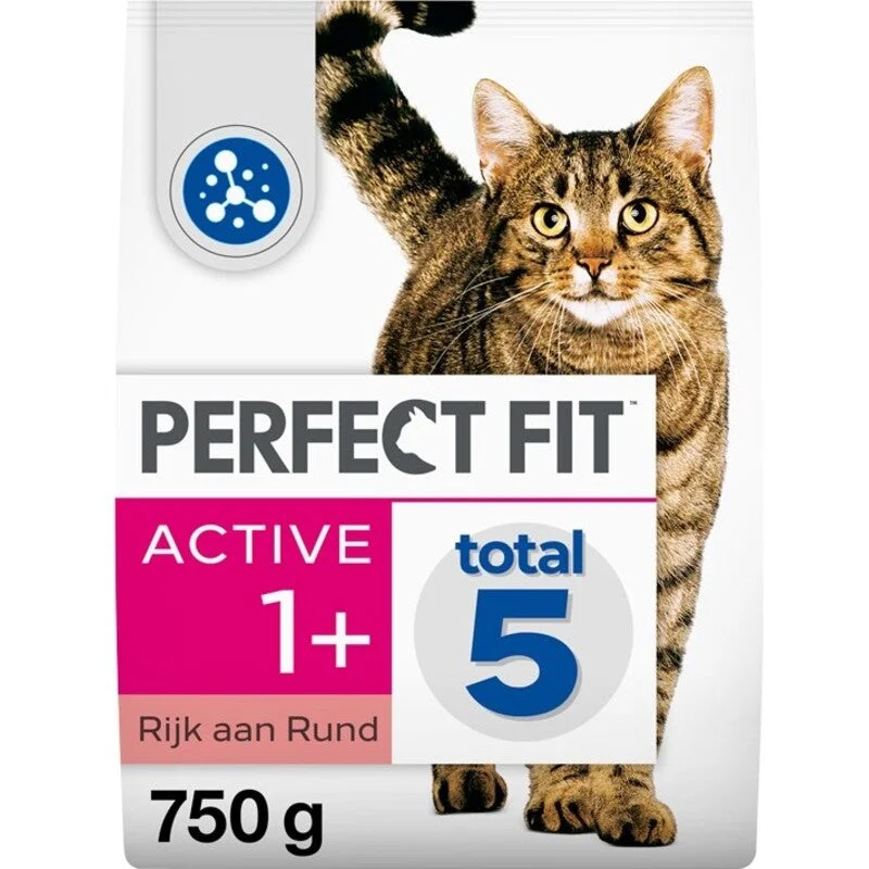 dutchshopper602233