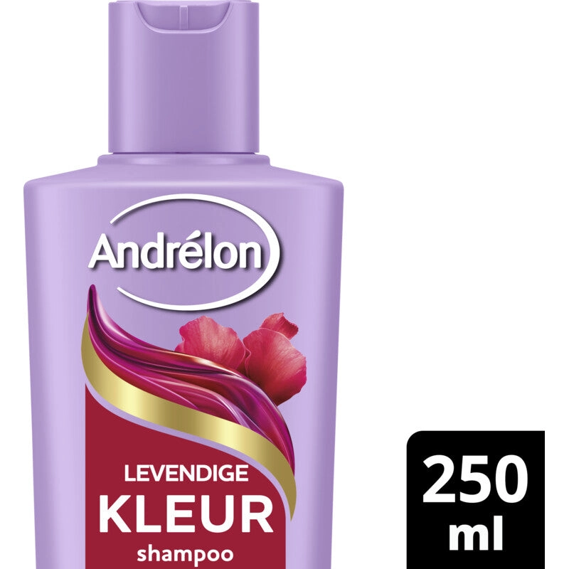 dutchshopper750309