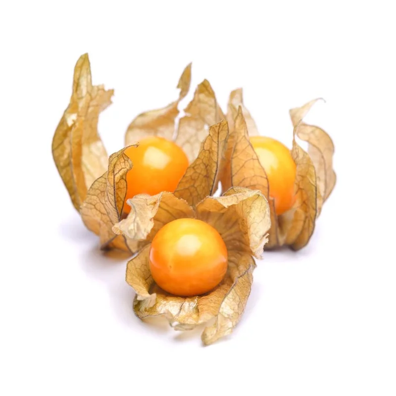 obstwelt540395