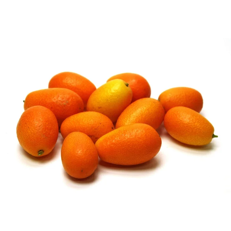 obstwelt540765