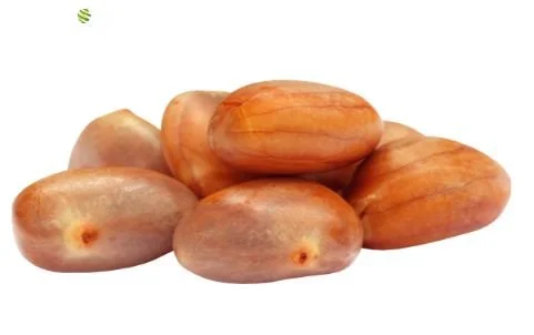 obstwelt541009
