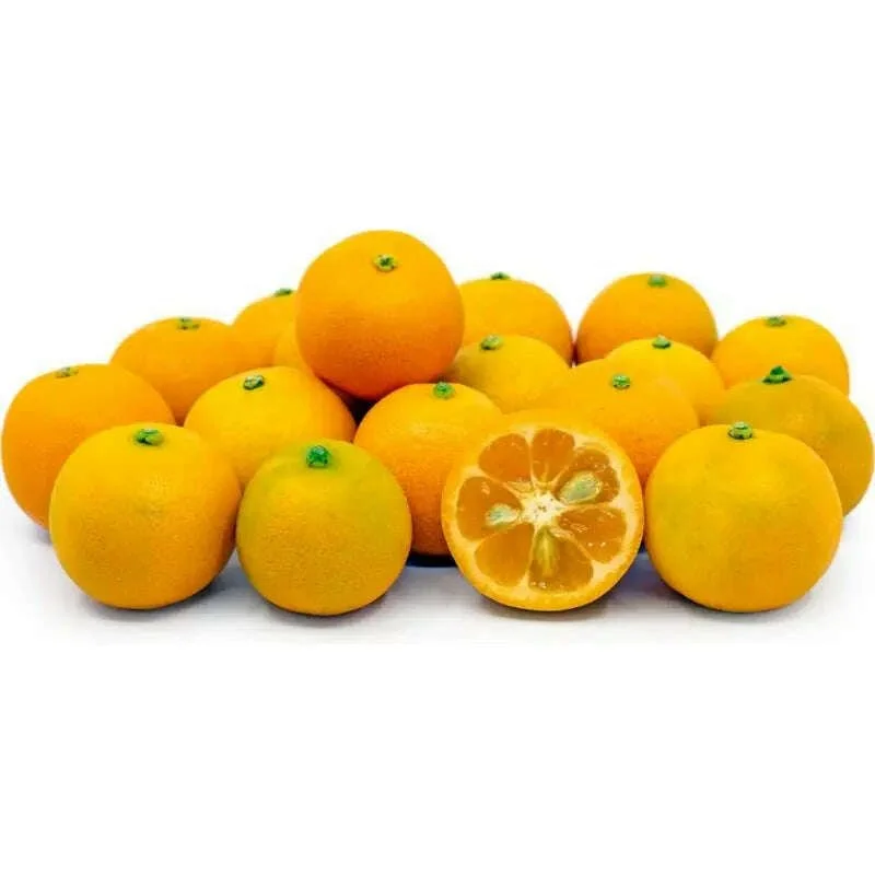 obstwelt541286