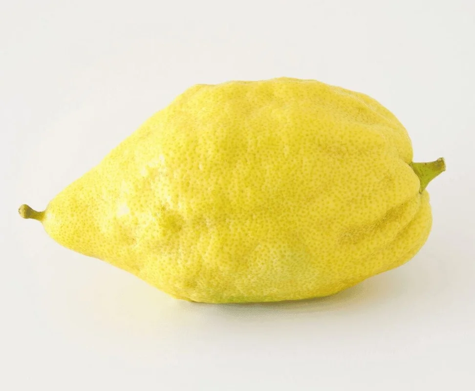 obstwelt541304