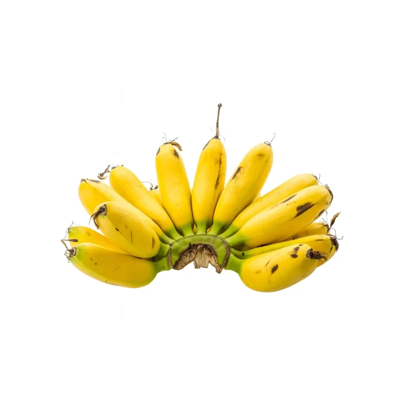 obstwelt541365