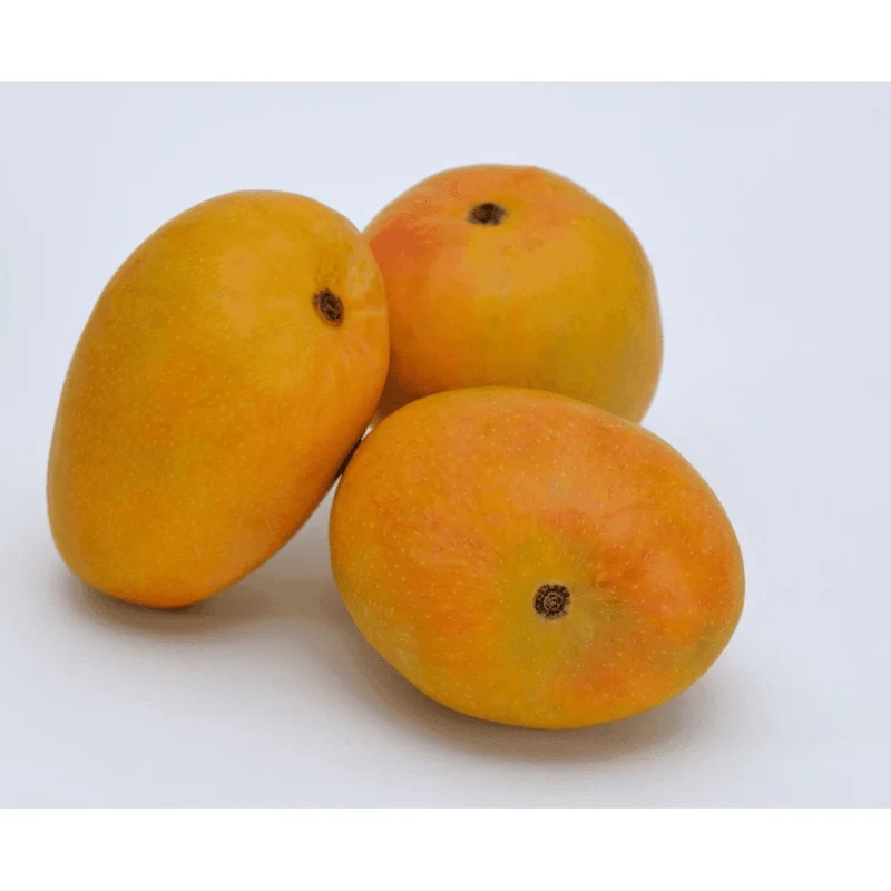 obstwelt541991
