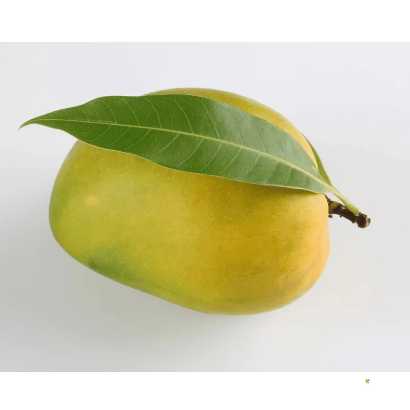 obstwelt542004