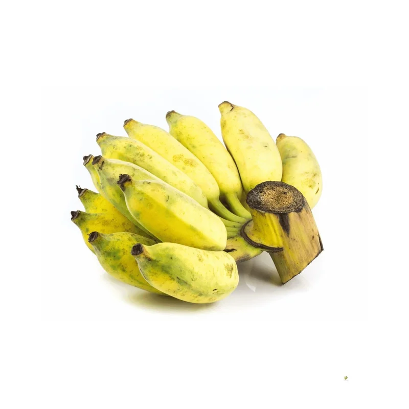 obstwelt542032